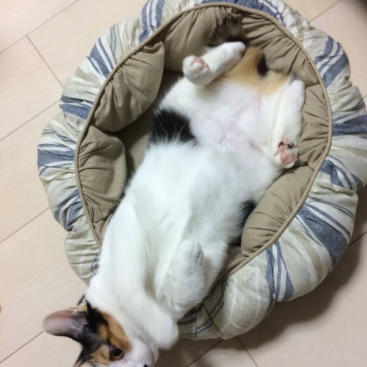 B94ed31d b022 4e49 83a1 f7562c09836c