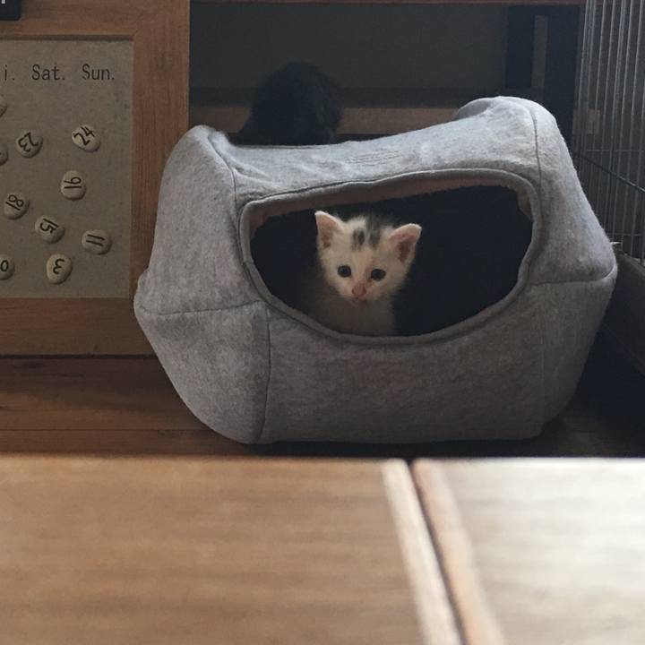 B94edcd1 f0df 402f bb37 e0675a6c018a