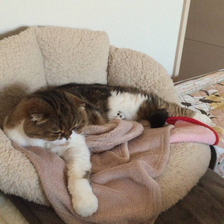 B94f4595 8a70 42b6 8c93 21e5e2100dff