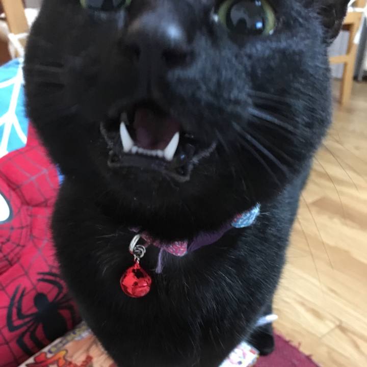 B94f6535 514e 463e abd3 007c3374ea06