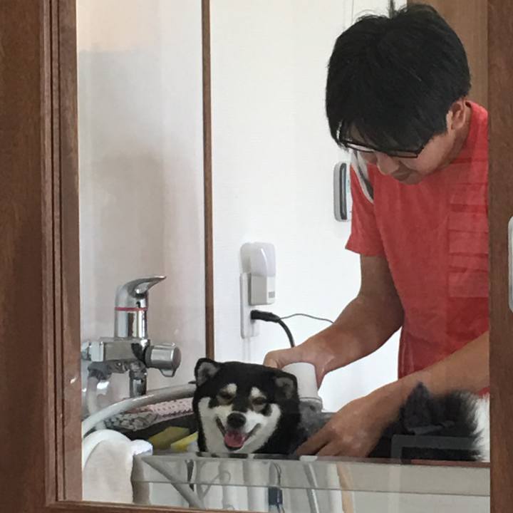 B94f99c0 9c71 435d 800d 1a21a5b4fe4c