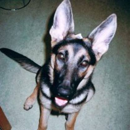 B94fb473 888c 431c ade2 8939f11027fd