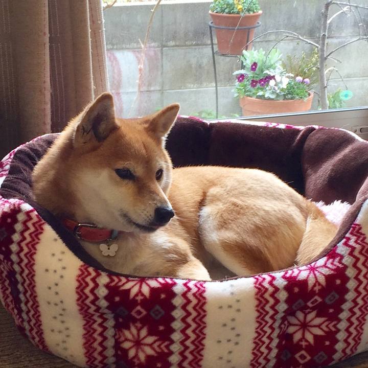 B950d9e9 9a8e 414f 8e5b ac0ab6e37e8a