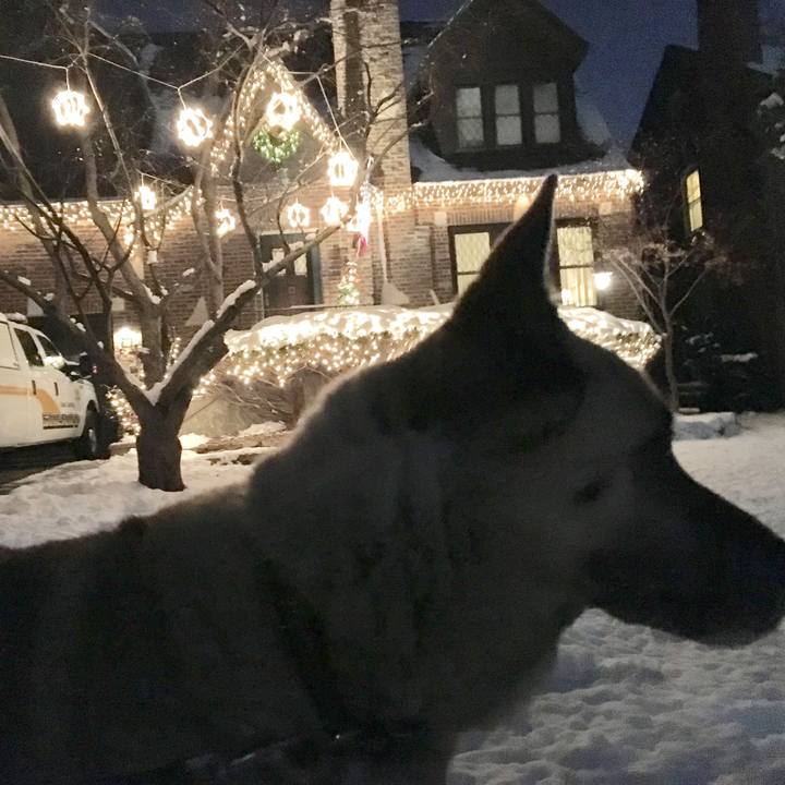 B95163f3 af2a 4532 91f4 fd735431b5fc