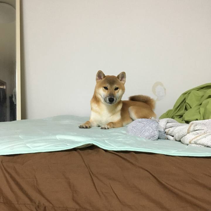 B951688d f89b 4cf3 a030 ae5661366433