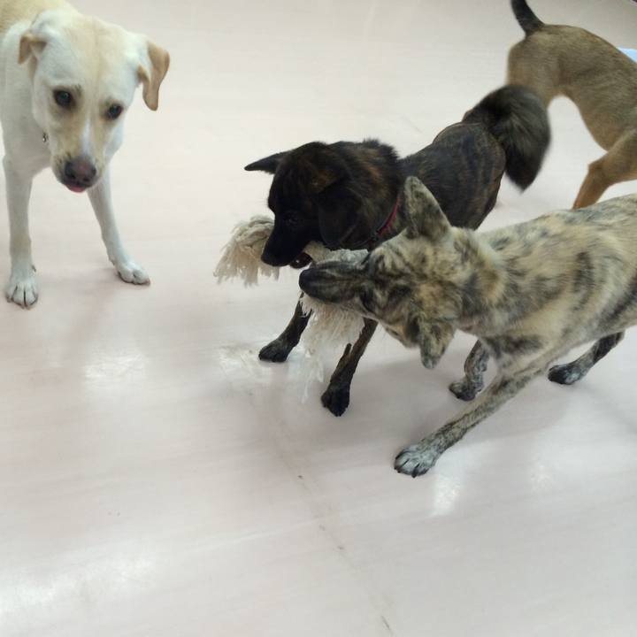 B9517a43 af28 4225 87a7 f6defba143e6