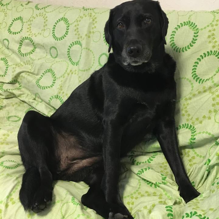 B9517ff1 6b25 4fb0 af16 1383988f9315