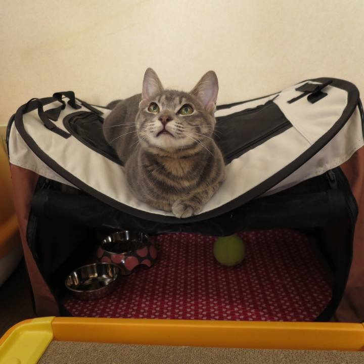 B952e64d 6cc8 4b41 b9d9 014f1b78c684