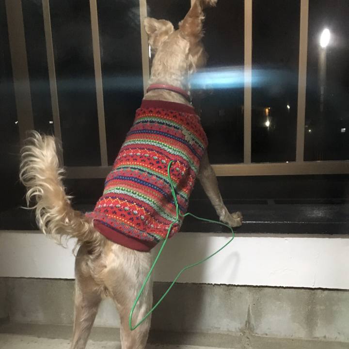 B952fd91 bc18 4cbc 82da 630e413e49a6