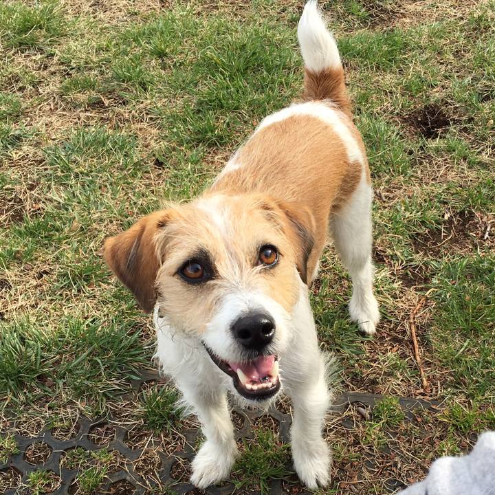 B953e9c2 2681 430f 949b 5a09ec227257