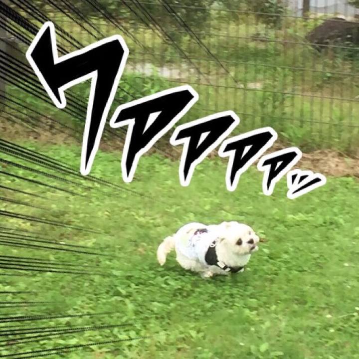 B9545f02 deb2 43a8 a81b 08dc9d724b36