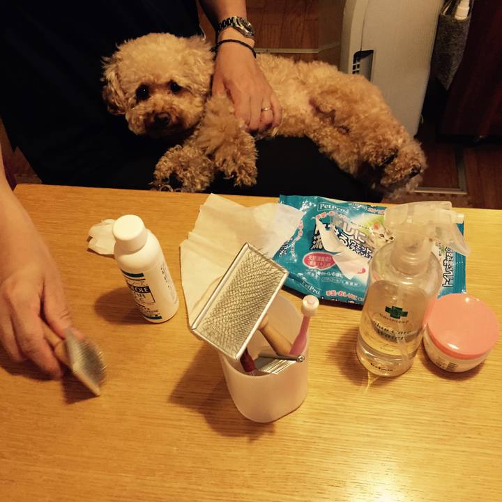 B955254d b629 4b13 a030 9d7d48ed85e5