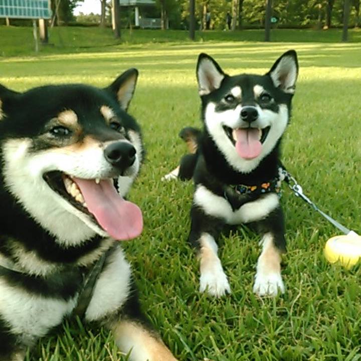 B9553a69 38cd 4d22 bf24 f582992e66fa