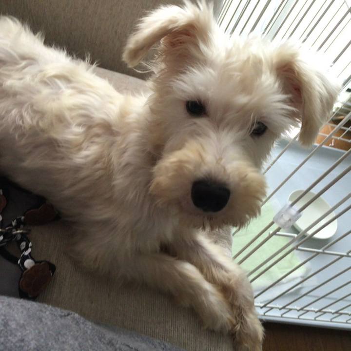 B95662be 9b5b 4321 8fd7 2422ec21e8f3