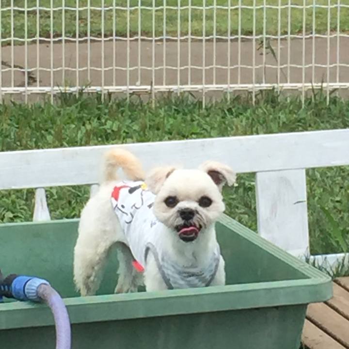 B9567be5 bcf0 45eb 8c67 0df340173d4c