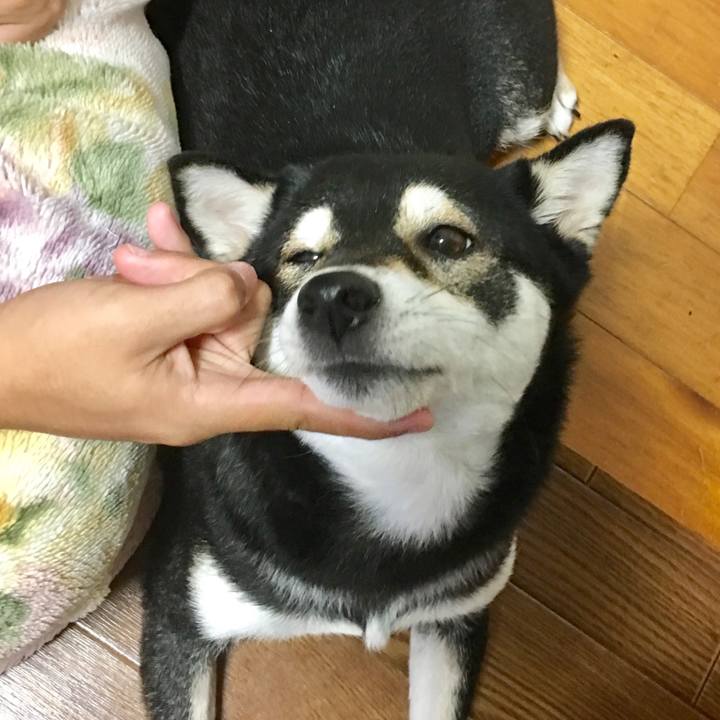 B956d29e 76a9 47e7 a201 4f158c811feb