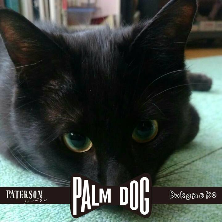 B9575b76 267e 4a86 a9aa c917b1a834d6