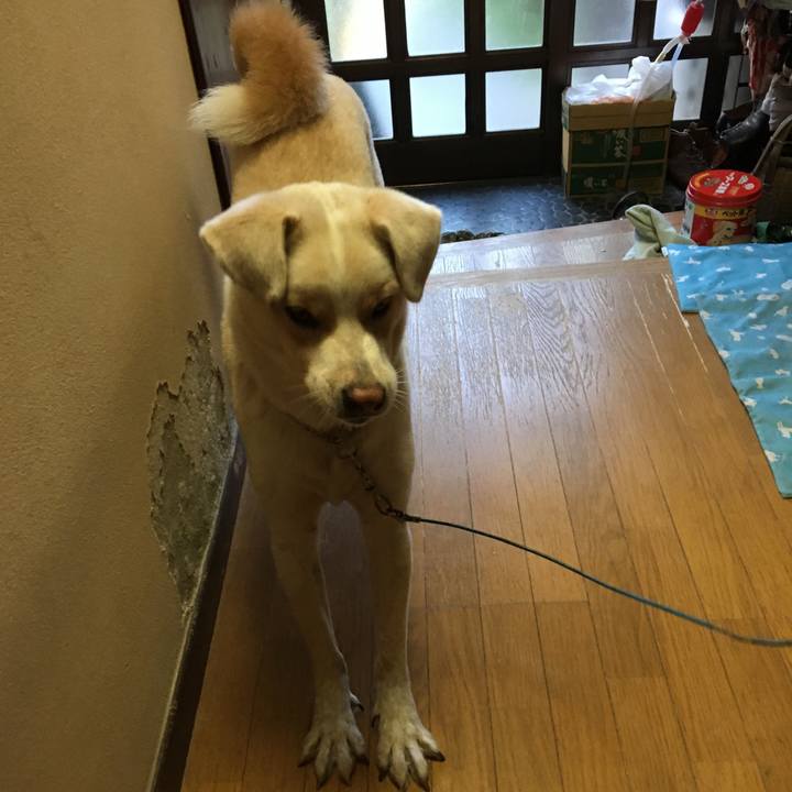 B95774f5 d978 4b96 a8ea 0302519dfa4b