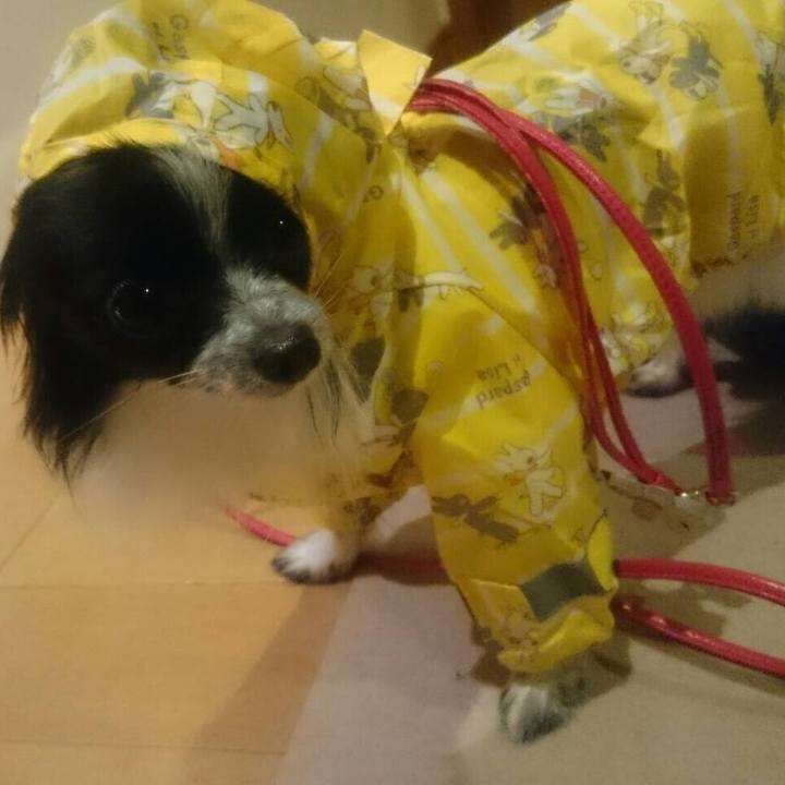 B957eb18 ea6a 40a5 acc4 004a7636c792