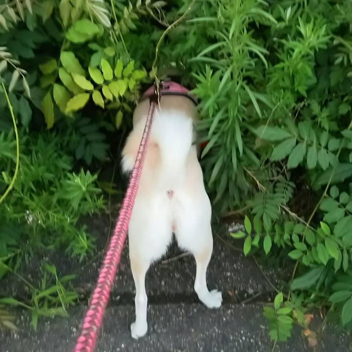 B95820fd 1955 4bfc 8d2d e46f77049f9f