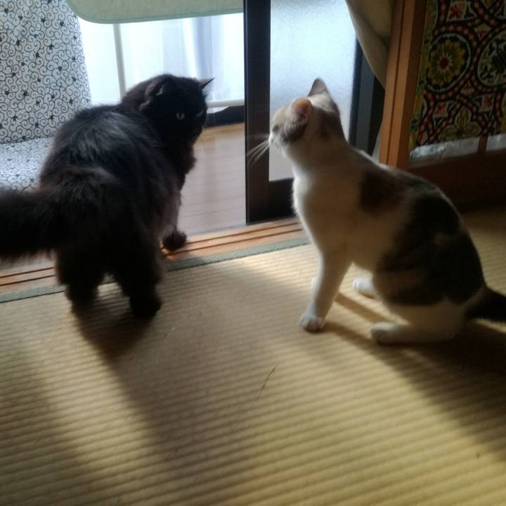 B9589c5f f85f 4d12 aa07 dbc658eb9fc4