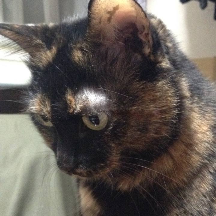 B958a263 5f4a 4c68 a39a 3776fc1396c1