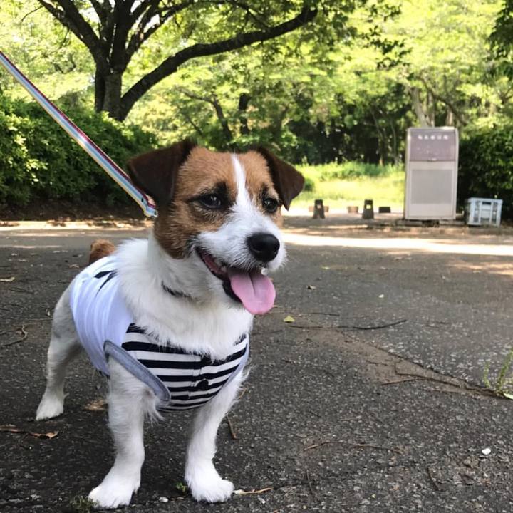 B959840c 3f4f 4840 b7c5 a39bec65b8fb