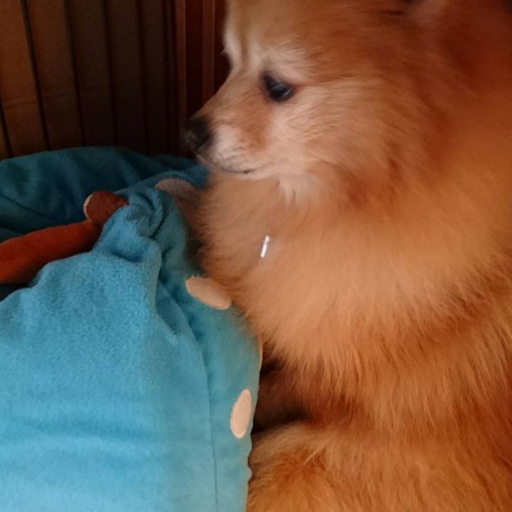 B95a57e6 7e23 4e8e a70e 3bc1a67fba6e