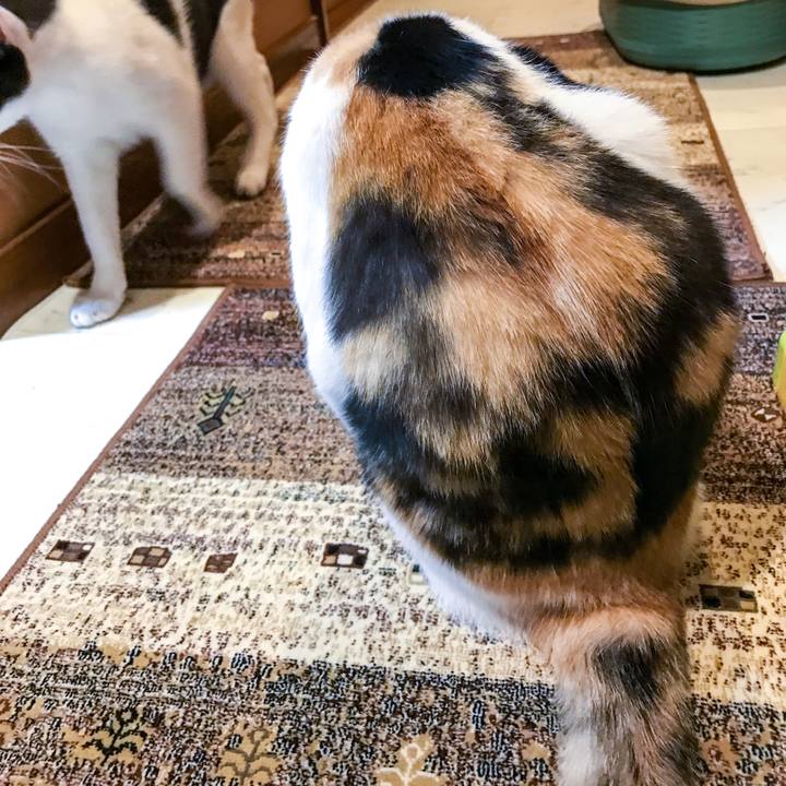 B95b02a1 fd03 4eb2 aaed 658f0916a1b6