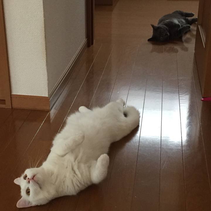 B95b0f27 a00d 4a41 8827 3f1346a8dcaa