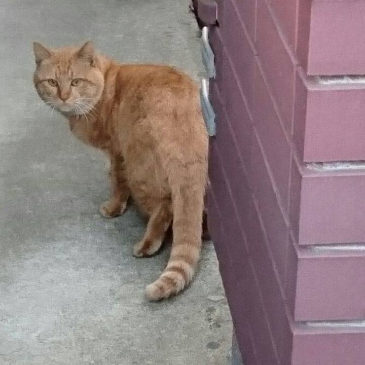 B95b239d 1e27 4417 990f cb6ea0592b0b