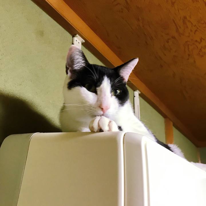 B95be197 9cf1 4aa3 90a2 d200be1688ee