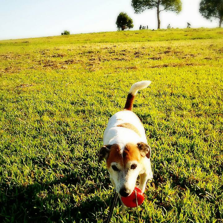 B95be55a 8816 49a0 aba9 75a7fe0ac9aa