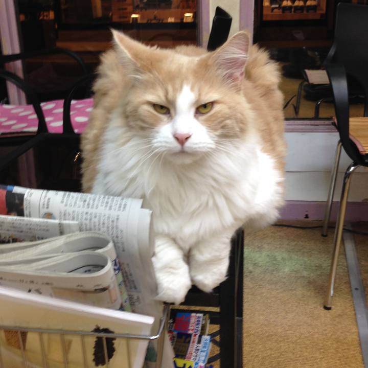 B95c06a3 1cc3 494c 80de 710871b73a26