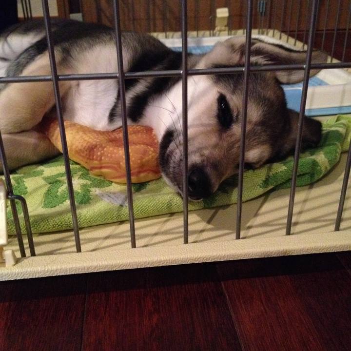 B95c5f58 81b0 4a75 967a c5e36c306ba7