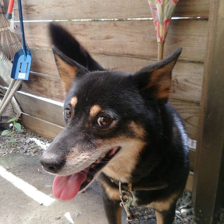 B95c88aa 8881 4fd6 8431 813df71cf642