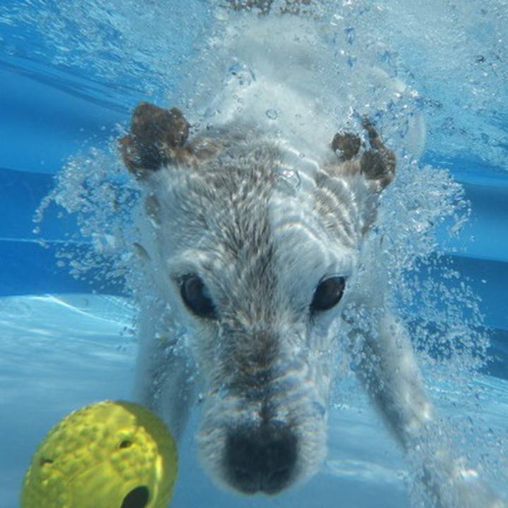 B95c9275 7fab 4193 aa84 699a31296b5e