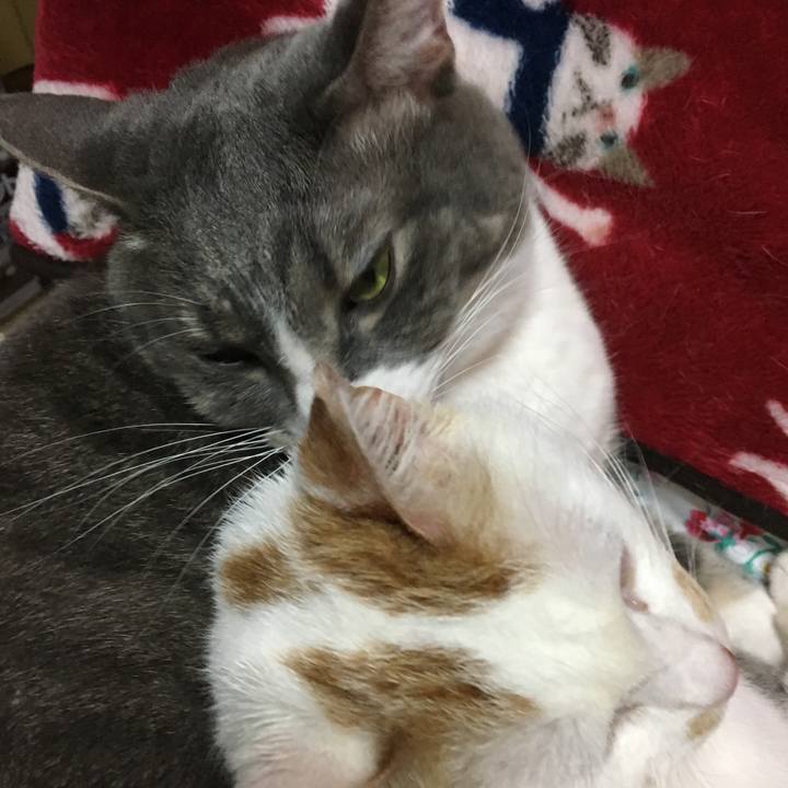 B95d9af5 03ab 497f 8c73 3cec155729a4