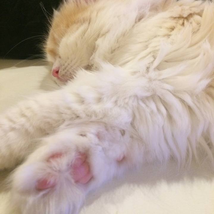 B95db5d1 f990 4c85 9b60 2ddeb059bd8e