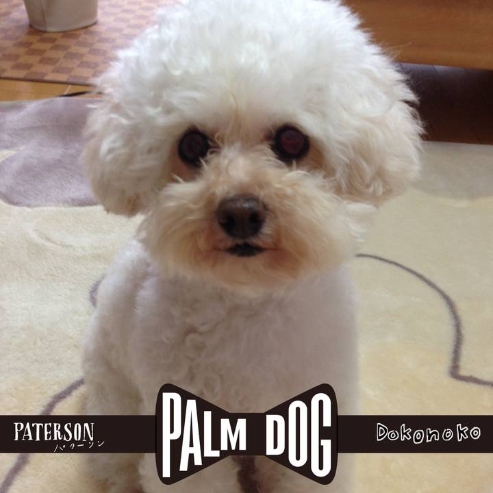 B95e04e5 0d5c 4a45 8518 eb6667e52e52