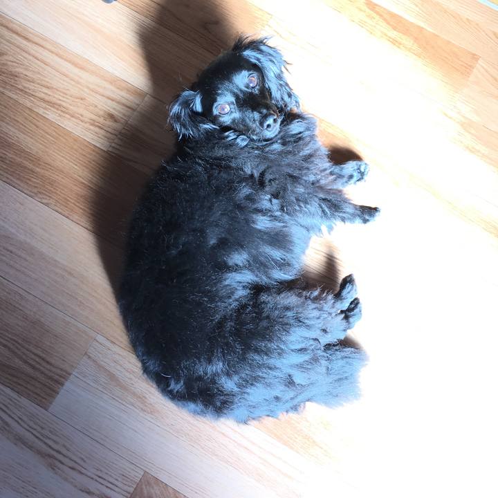 B95ef58f 681e 4bba 88ec e5d2f4b22081