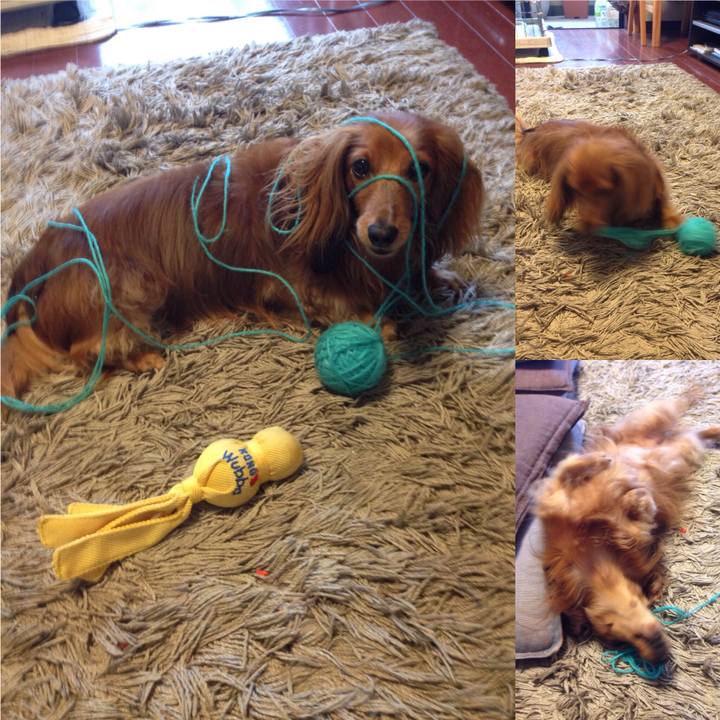 B95f6af9 0a18 42b4 b1bc 4c07a446fcf9