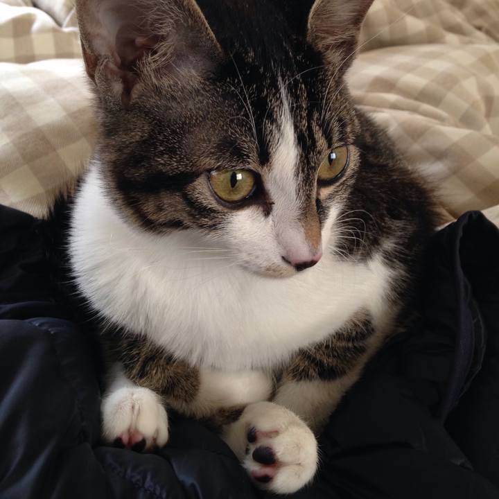 B95f8e7b e52a 4cf5 9c1a ea896c19cb57