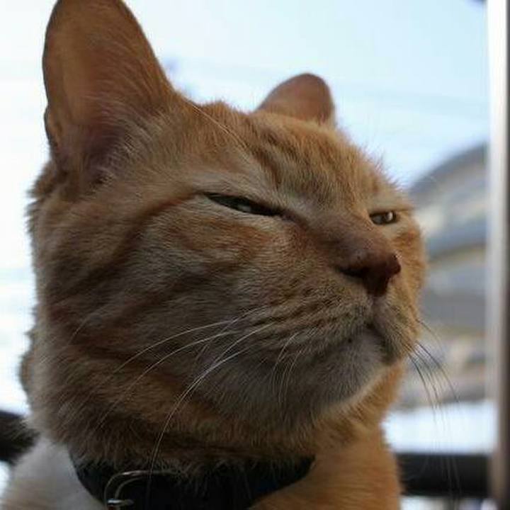 B960882e 5de9 4e00 8a8a fd7ab2ef43ab