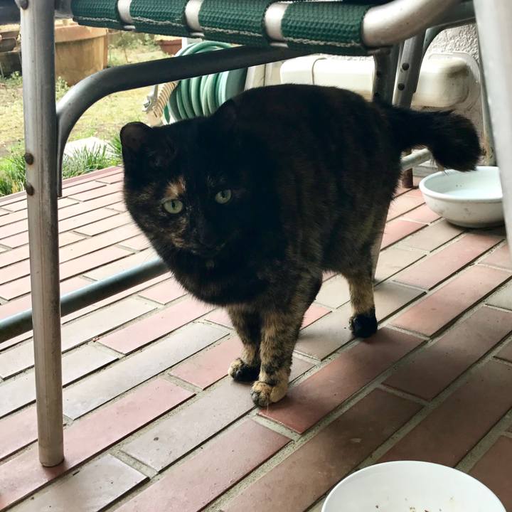 B9611b84 01d9 413c 92dc feb07b5c2457