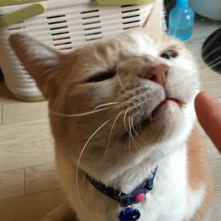 B9618432 e8db 45c1 8669 5e41af2f36ba