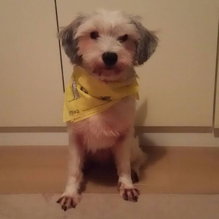 B962067a a636 4a4c b579 e6902503760d