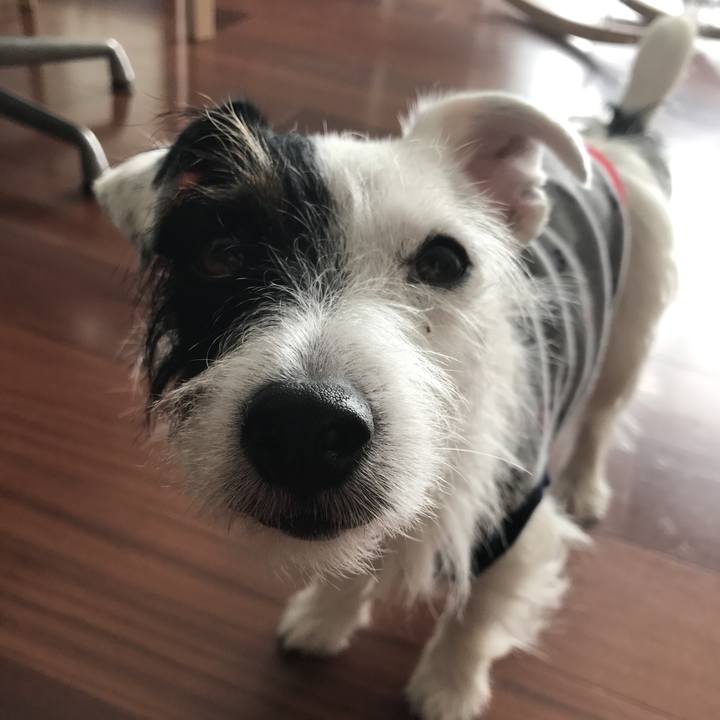 B9623171 e0dd 4178 a986 d8093c17449a