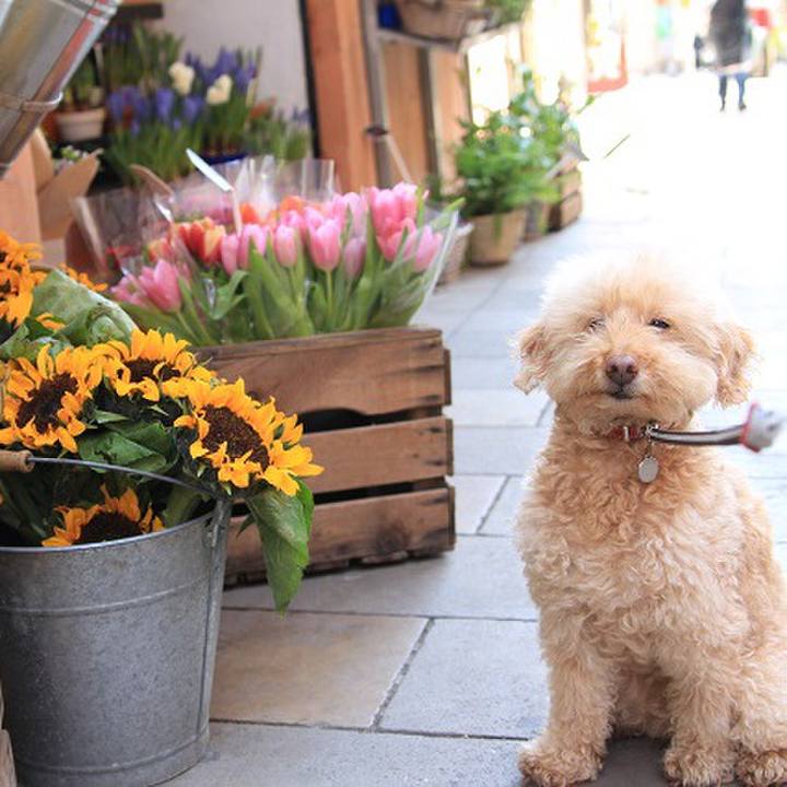 B9627867 b287 4fc0 a6ca ef5a243ac9a3