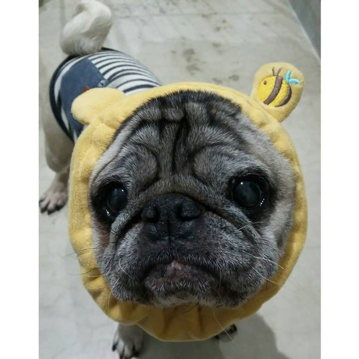 B963538e c08b 4720 af0a 6e94fbb50790